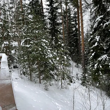 дом у спа-центра и озера * Imatra