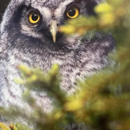 Kylpyla Spa2 539 Διαμέρισμα Ιμάτρα