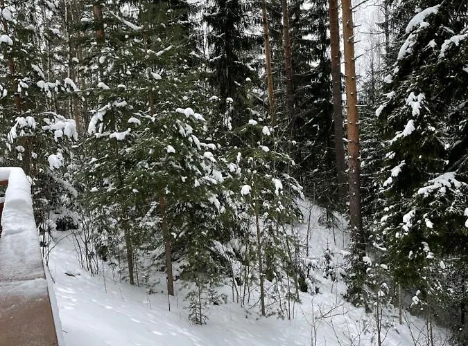 Kylpyla Spa2 539 * إيماترا