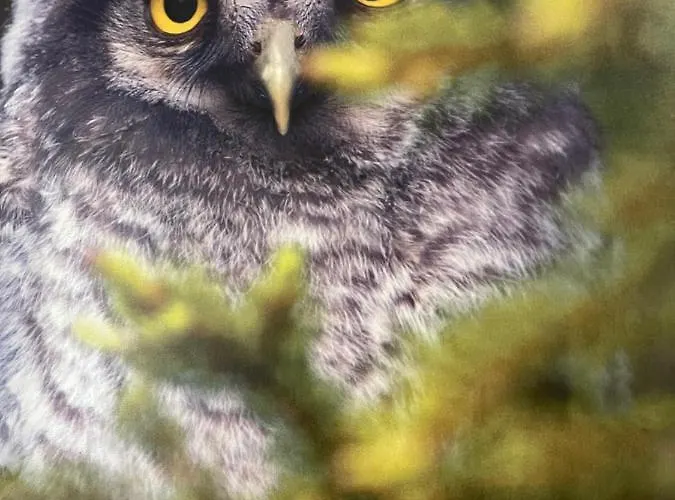 Kylpyla Spa2 539 شقة إيماترا